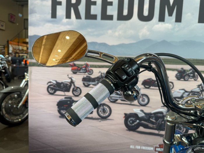 2002 Harley-davidson FXDWG DYNA WIDE GLIDE Blue