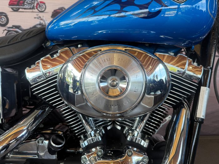 2002 Harley-davidson FXDWG DYNA WIDE GLIDE Blue