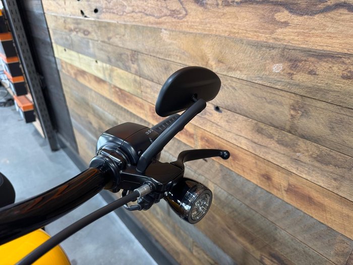 2025 Harley-Davidson Breakout 117 (FXBR) Softail