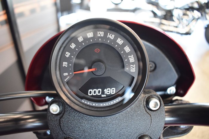 2025 Harley-davidson FXLRS LOW RIDER S (117)