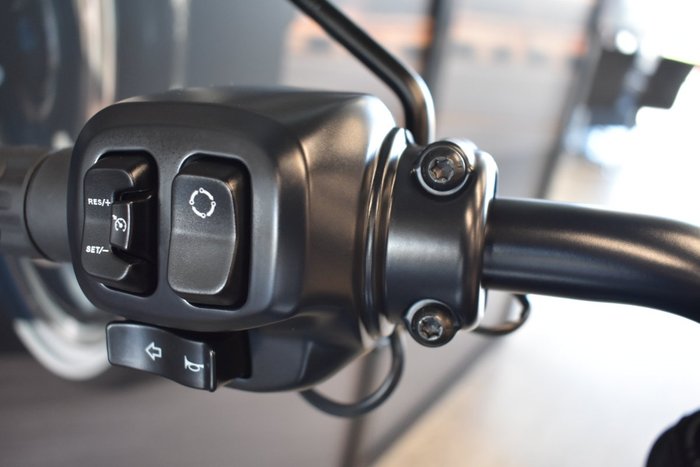 2025 Harley-davidson FXLRS LOW RIDER S (117)