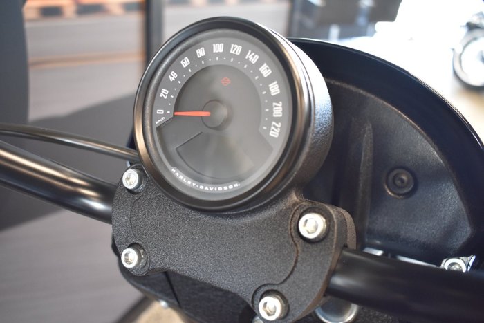 2025 Harley-davidson FXLRS LOW RIDER S (117)