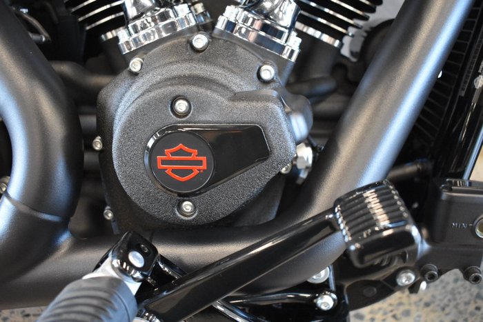 2025 Harley-davidson FXLRS LOW RIDER S (117)