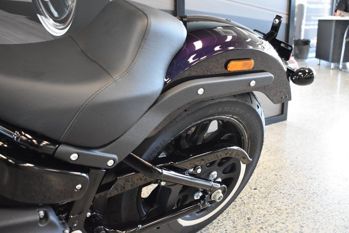 2025 Harley-davidson FXLRS LOW RIDER S (117)