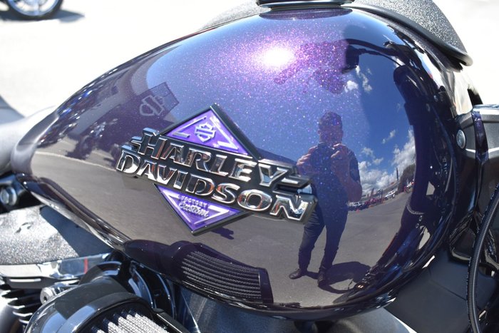 2025 Harley-davidson FXLRS LOW RIDER S (117)