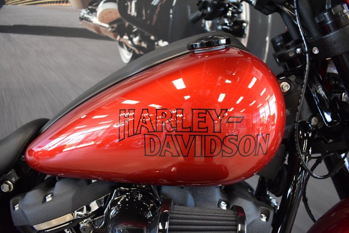 2025 Harley-davidson FXLRS LOW RIDER S (117)