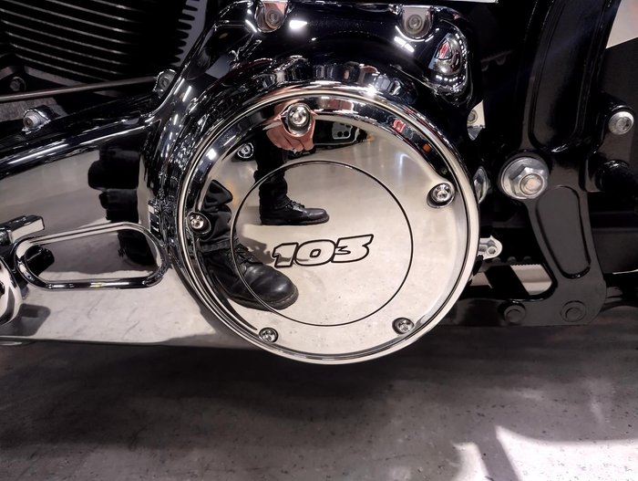 2017 Harley-Davidson Softail Deluxe 1690 (FLSTN) Softail Red