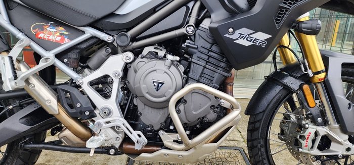 2024 Triumph TIGER 1200 RALLY PRO GREEN