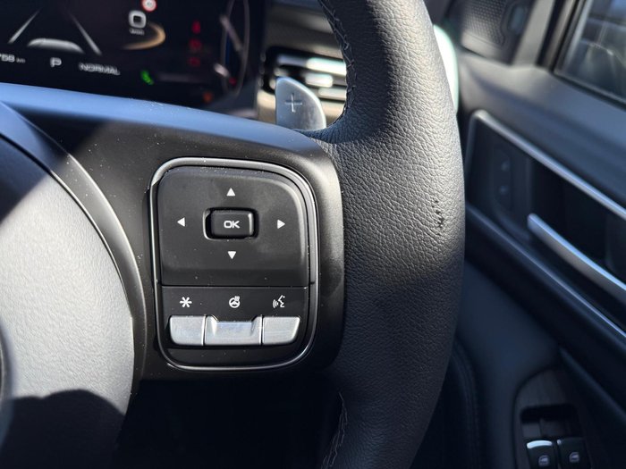 2025 GWM Cannon Vanta