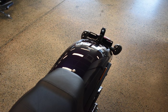 2025 Harley-davidson FXLRS LOW RIDER S (117)