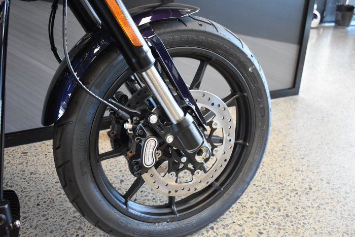 2025 Harley-davidson FXLRS LOW RIDER S (117)