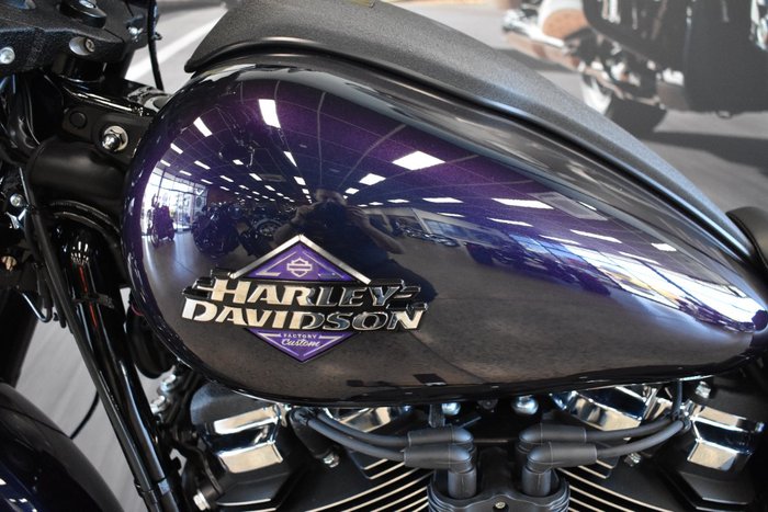 2025 Harley-davidson FXLRS LOW RIDER S (117)