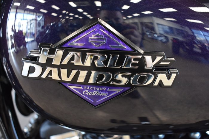 2025 Harley-davidson FXLRS LOW RIDER S (117)