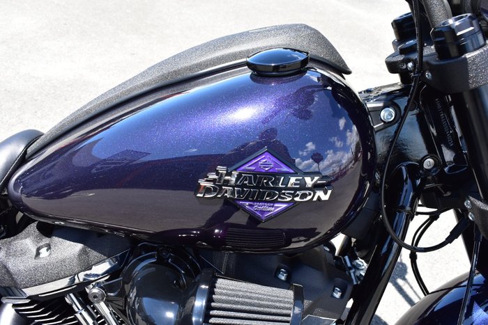 2025 Harley-davidson FXLRS LOW RIDER S (117)