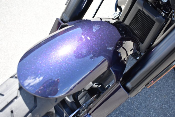 2025 Harley-davidson FXLRS LOW RIDER S (117)