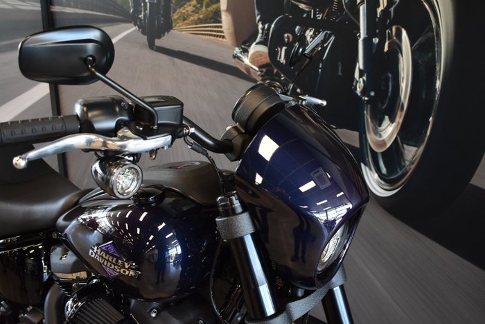 2025 Harley-davidson FXLRS LOW RIDER S (117)