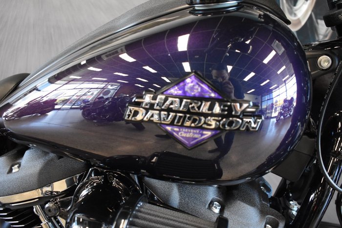 2025 Harley-davidson FXLRS LOW RIDER S (117)