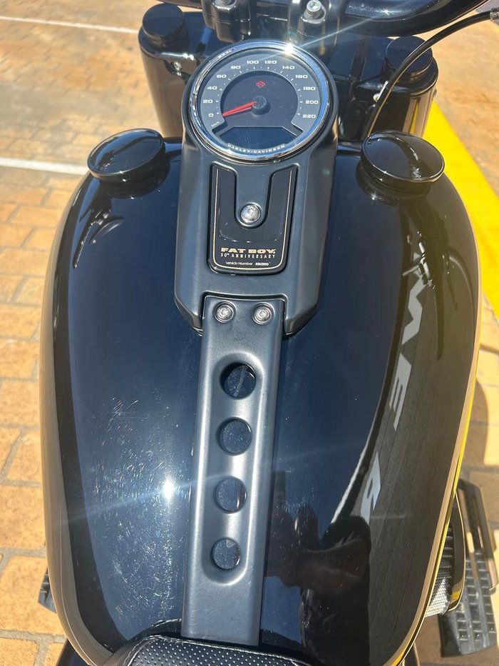 2020 Harley-Davidson Fat Boy 114 Anniversary (FLFBSANV) Softail Black