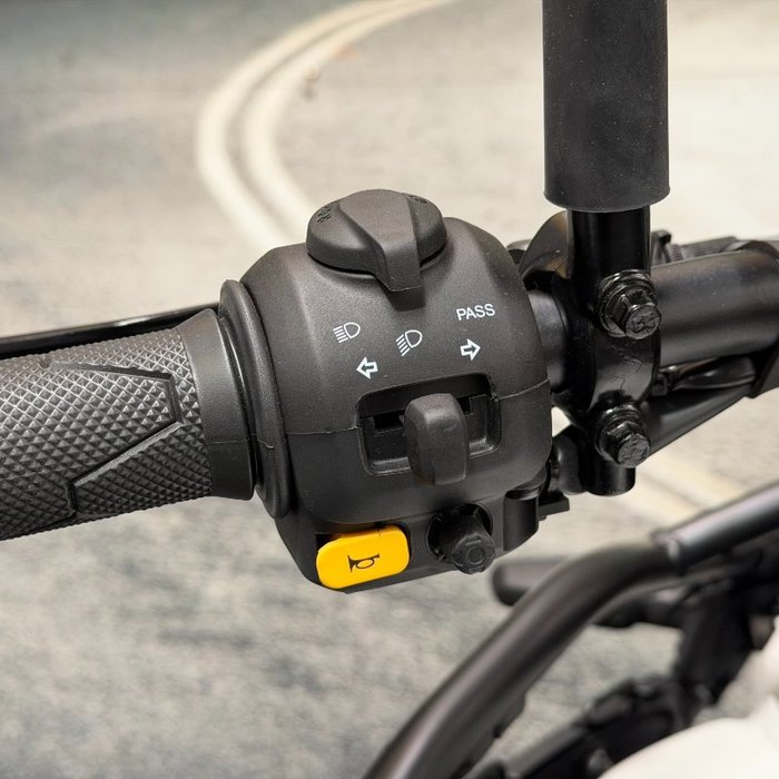 2025 Royal Enfield 2025 Royal Enfield 450CC HIMALAYAN 450 ROAD