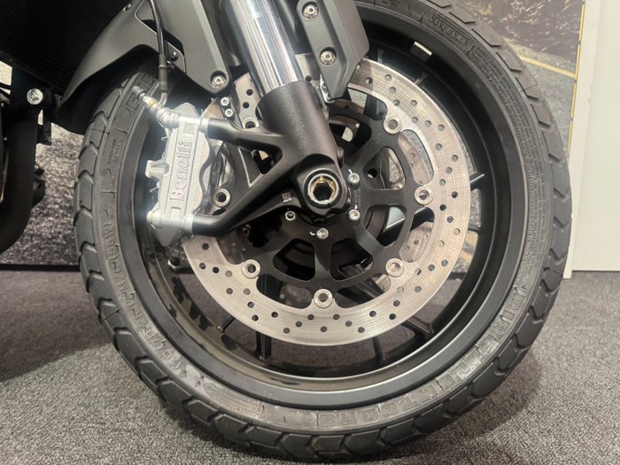 2022 Benelli LEONCINO 800 Brown