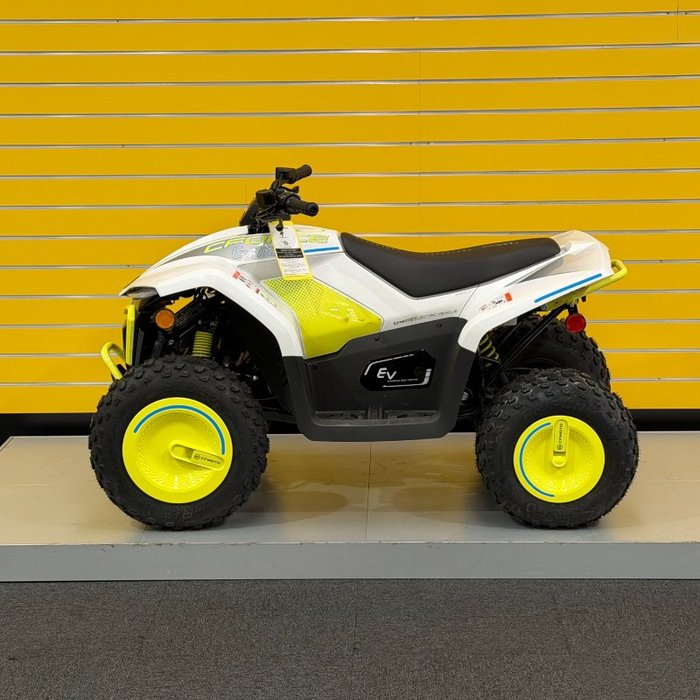 2022 CFMOTO C FORCE EV110