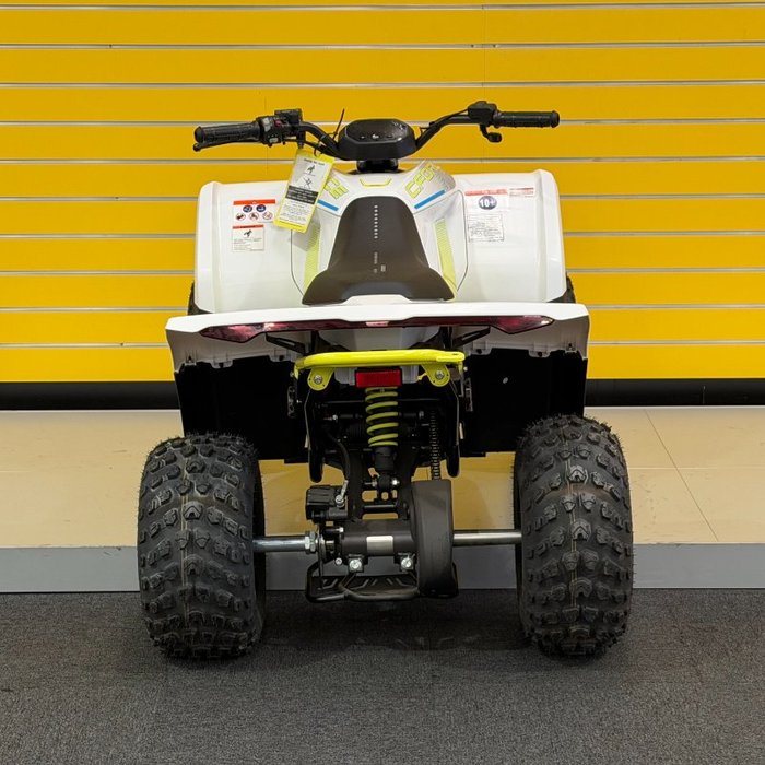 2022 CFMOTO C FORCE EV110