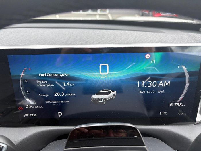 2025 LDV Terron 9 Origin