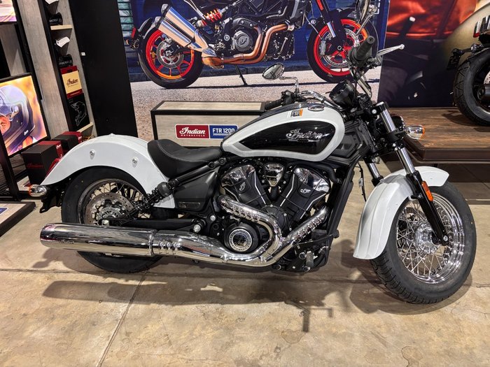 2025 Indian 2025 Indian 1250CC Scout Classic Limited + Tech WHITE