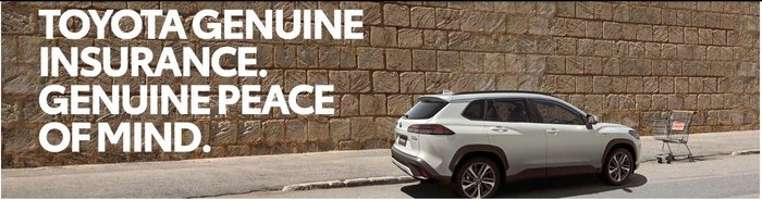 2025 Toyota Landcruiser GXL