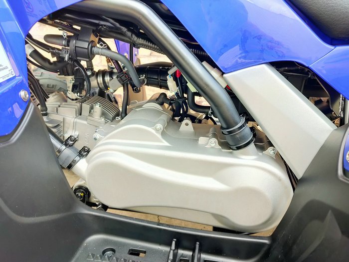 2025 YAMAHA RAPTOR 110 (YFM110R) ATV SPORT BLUE