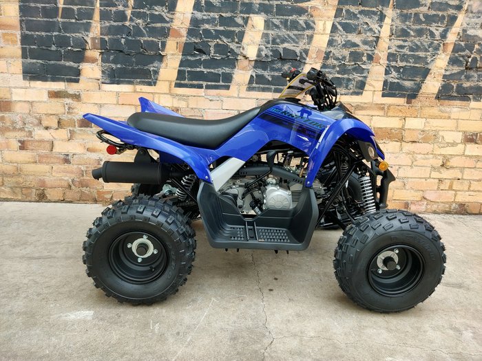 2025 YAMAHA RAPTOR 110 (YFM110R) ATV SPORT BLUE
