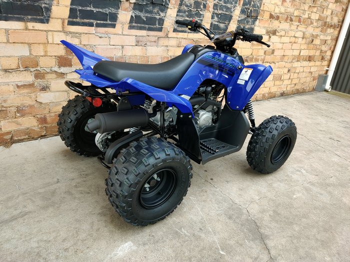 2025 YAMAHA RAPTOR 110 (YFM110R) ATV SPORT BLUE