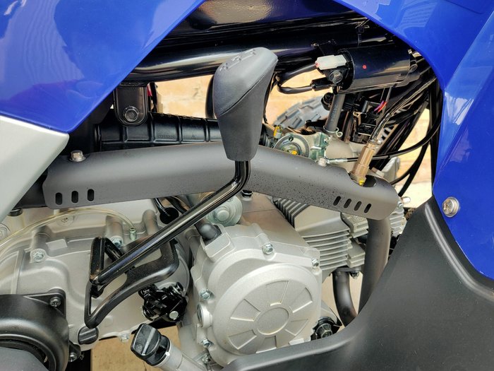 2025 YAMAHA RAPTOR 110 (YFM110R) ATV SPORT BLUE