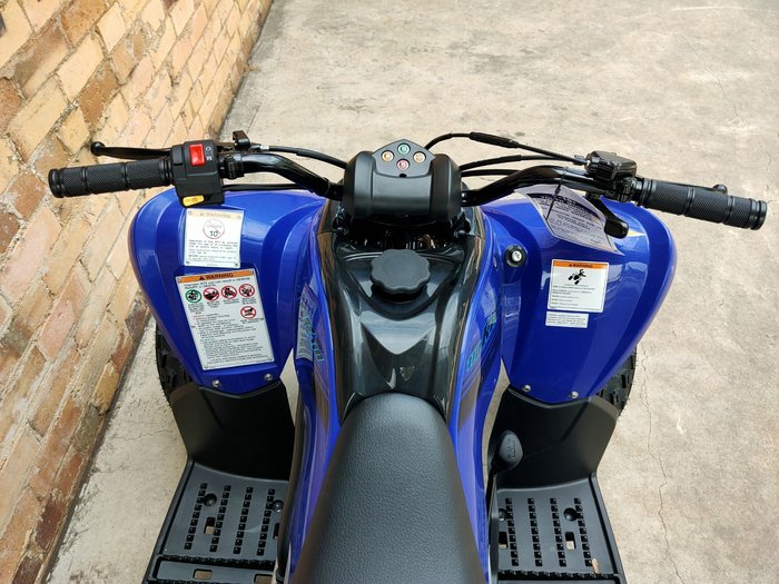 2025 YAMAHA RAPTOR 110 (YFM110R) ATV SPORT BLUE
