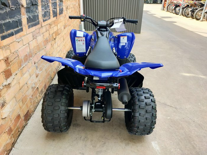 2025 YAMAHA RAPTOR 110 (YFM110R) ATV SPORT BLUE