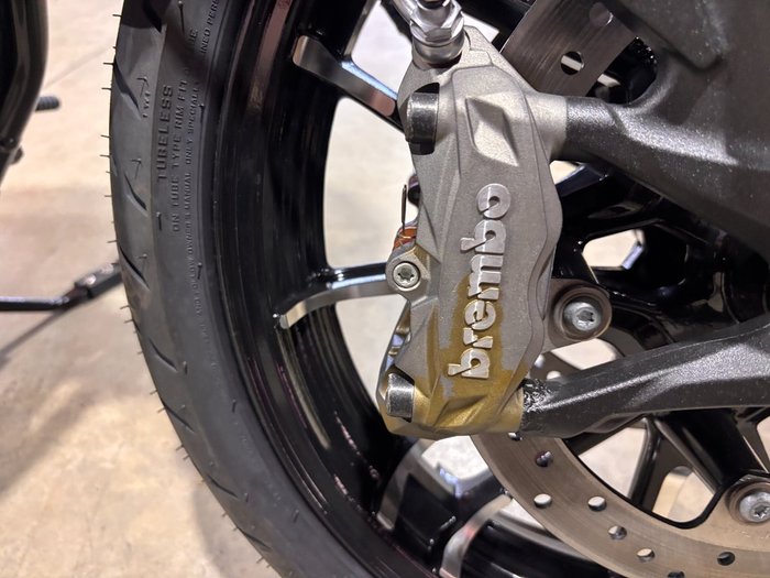 2023 Indian SPORT CHIEF GREY