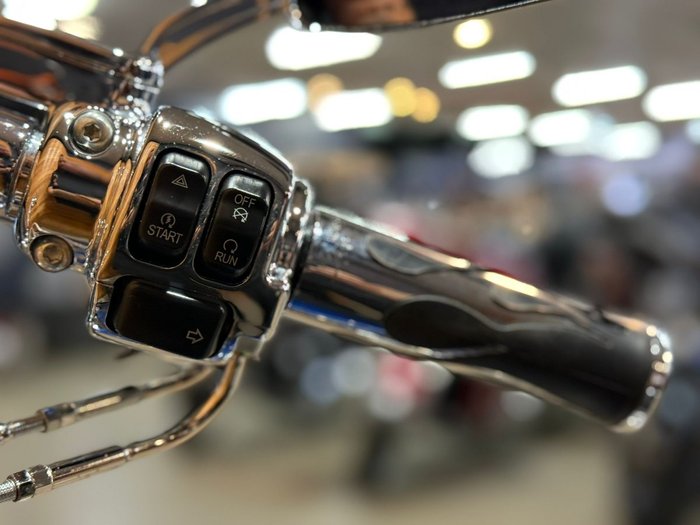 2015 Harley-davidson FLSTF FAT BOY Superior Blue