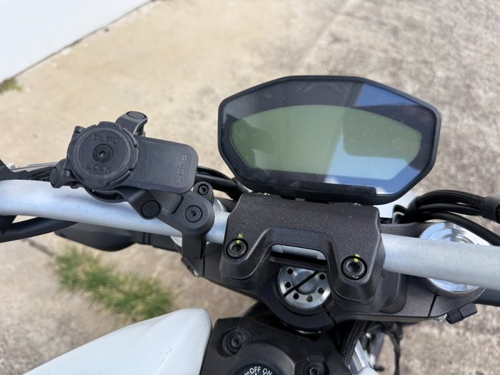 2021 Ducati MONSTER 659 (WHITE) WHITE