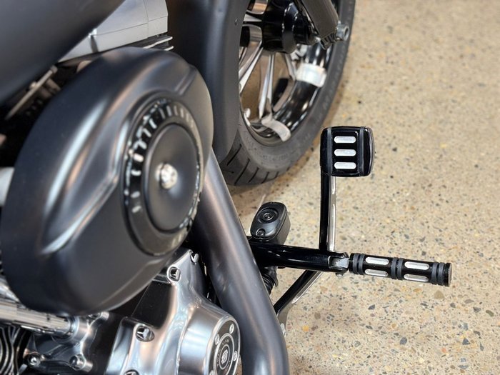 2010 Harley-davidson FLSTF FAT BOY Black