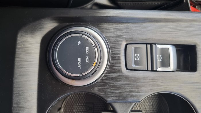 2022 GWM Ute Cannon-L