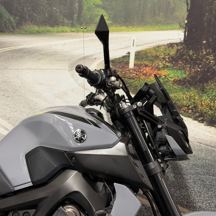 2017 Yamaha MT-09 Grey