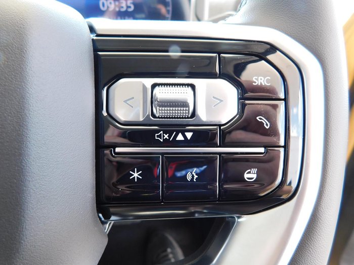 2025 LDV Terron 9 Evolve