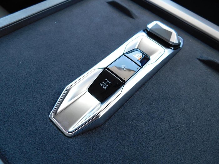 2025 LDV Terron 9 Evolve