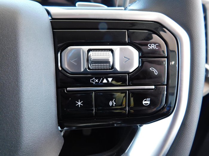 2025 LDV Terron 9 Evolve