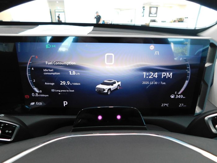 2025 LDV Terron 9 Evolve