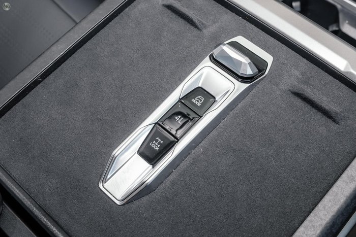 2025 LDV Terron 9 Evolve