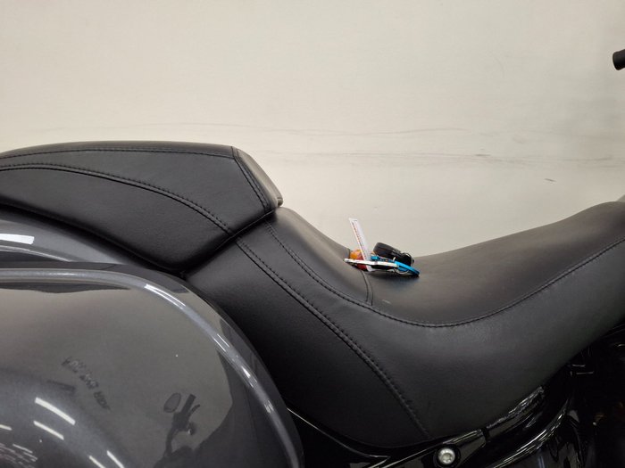 2021 Harley-davidson FLSB SPORT GLIDE grey