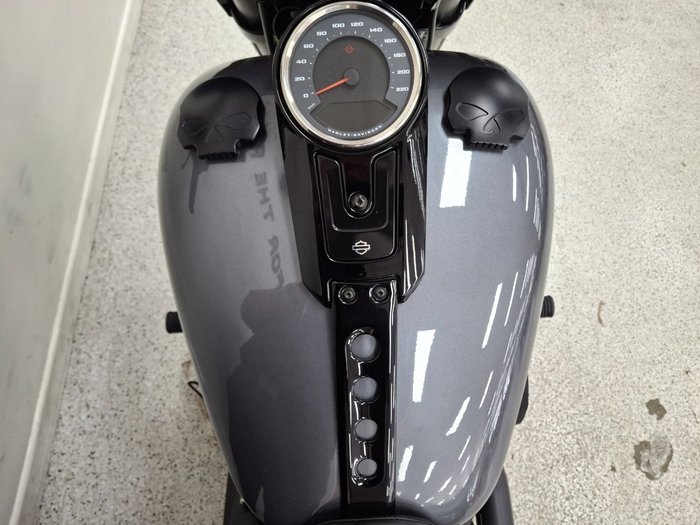 2021 Harley-davidson FLSB SPORT GLIDE grey