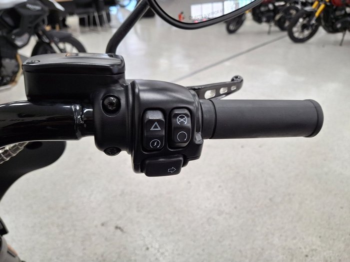 2021 Harley-davidson FLSB SPORT GLIDE grey