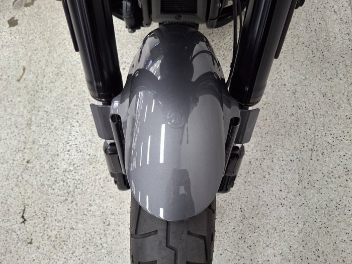 2021 Harley-davidson FLSB SPORT GLIDE grey